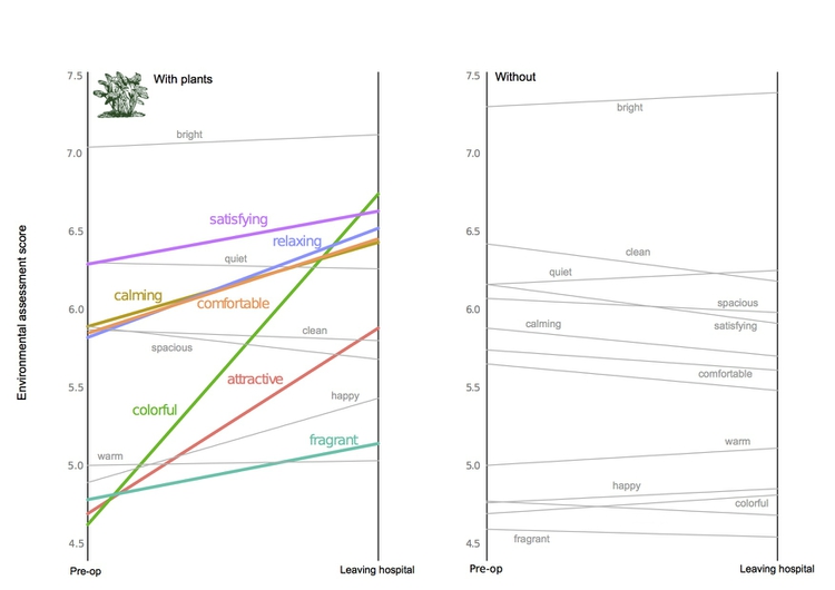 basic data visualization